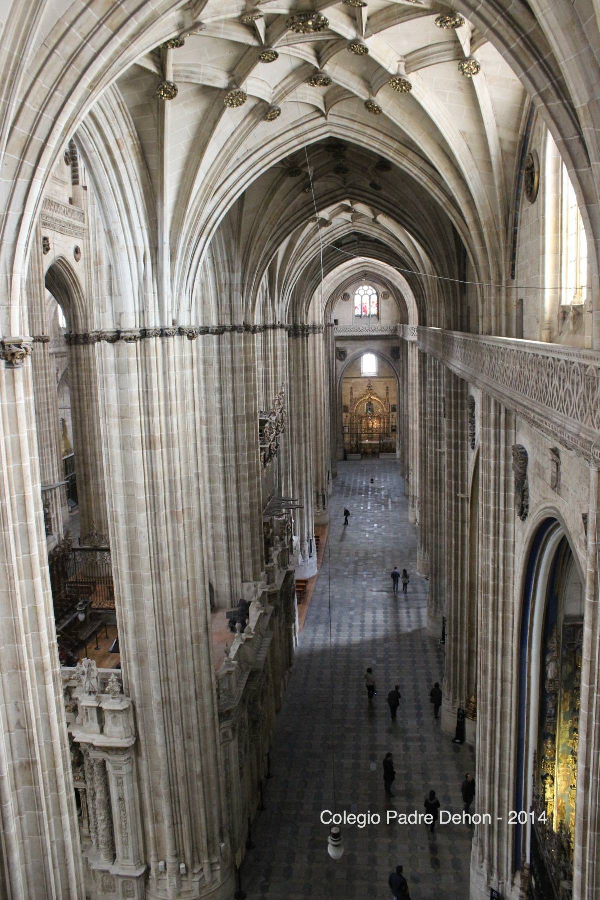 2014 03 22 SALAMANCA IERONIMUS CATEDRAL NUEVA (110)
